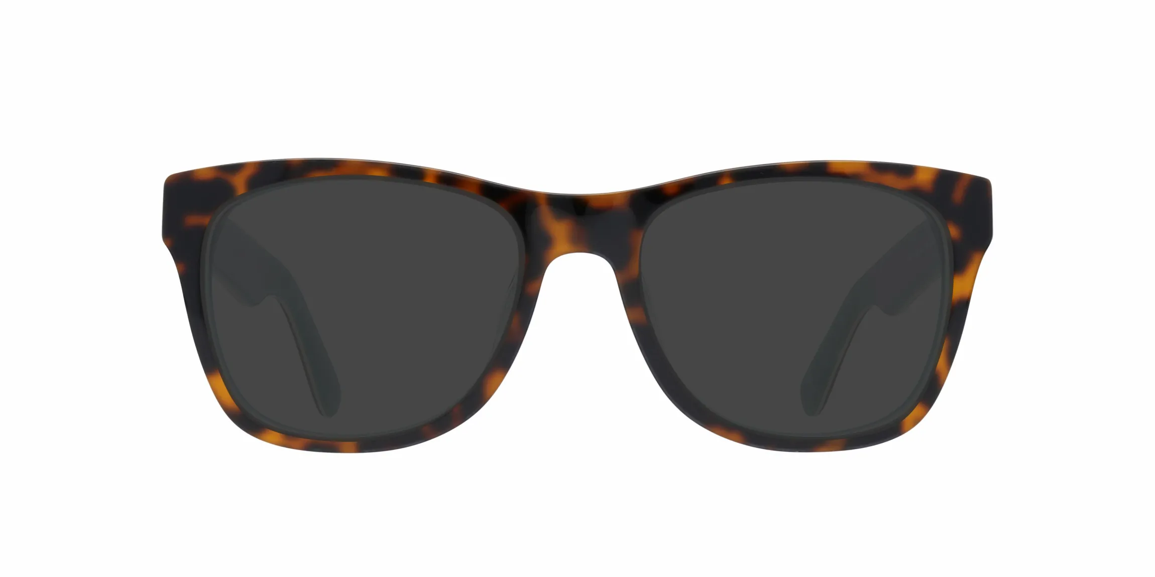 Festival