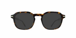 Joel