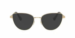 SK1007