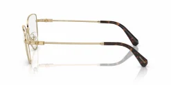 SK1007