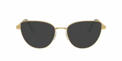 SK1007