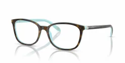 TF2109HB